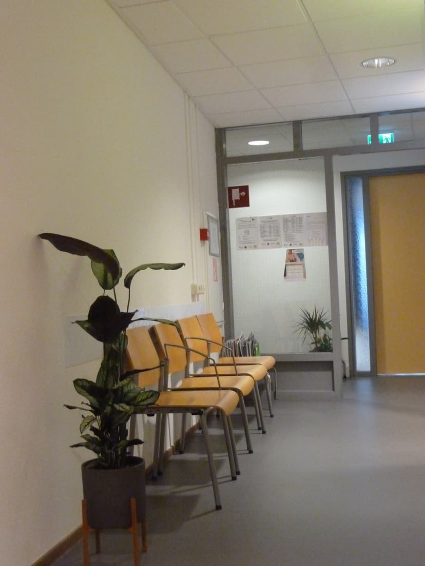 De sfeervolle wachtruimte van de praktijk